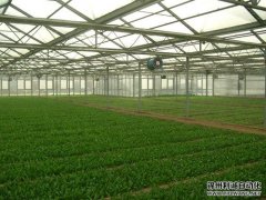 农业黄瓜视频网站入口设备使用方法