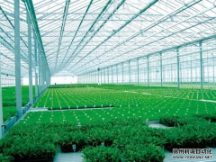 专业定制农业黄瓜视频网站入口设备监测系统