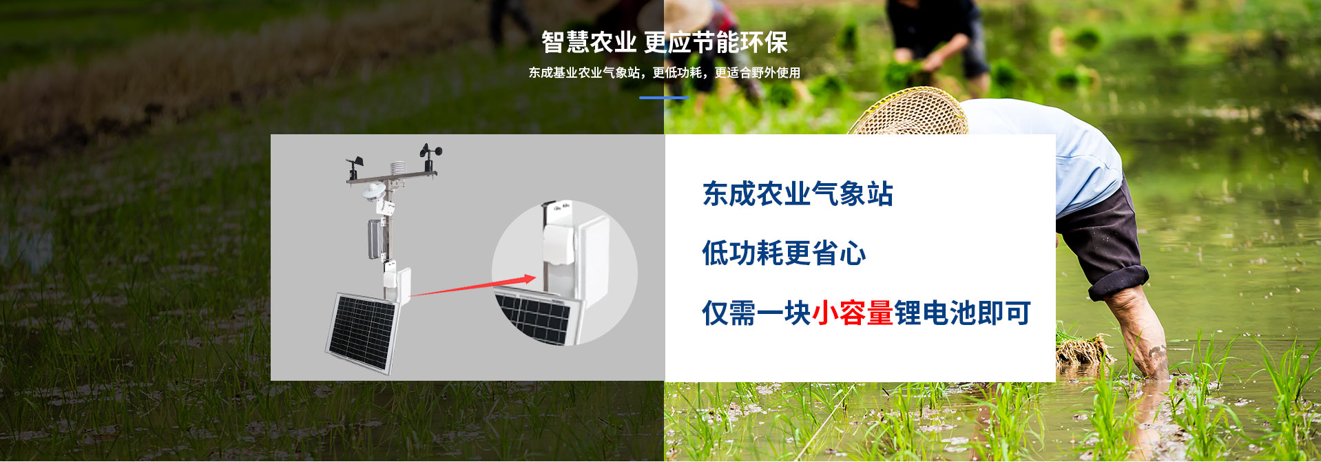 农业黄瓜视频网站入口